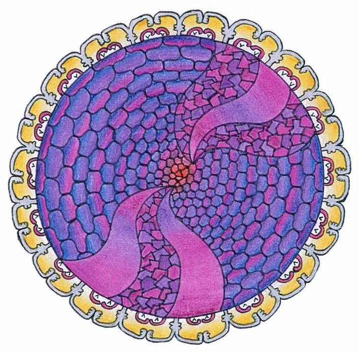 fialove-opojeni